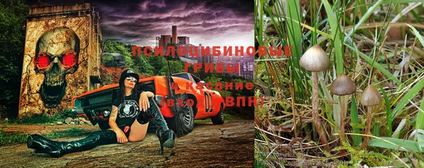 прущий лед Абинск