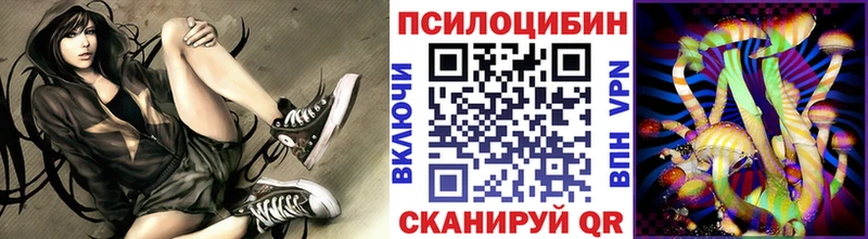 ОМГ ОМГ tor Тбилисская Галлюциногенные грибы прущие грибы